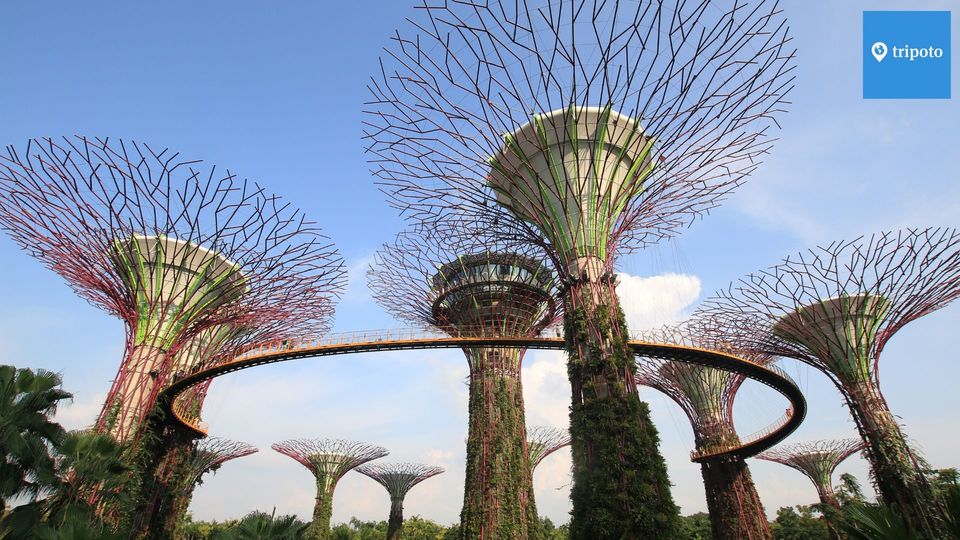 Photo of Singapore Tourism - Where Passion Comes to Life! 1/2 by Mukesh Jha