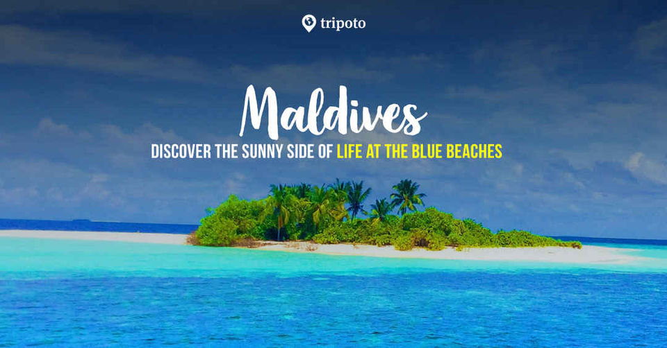 Photo of This Splendid Spectacle of Nature is Worth Bearing Maldives Tourism Cost from India! 2/2 by Mukesh Jha