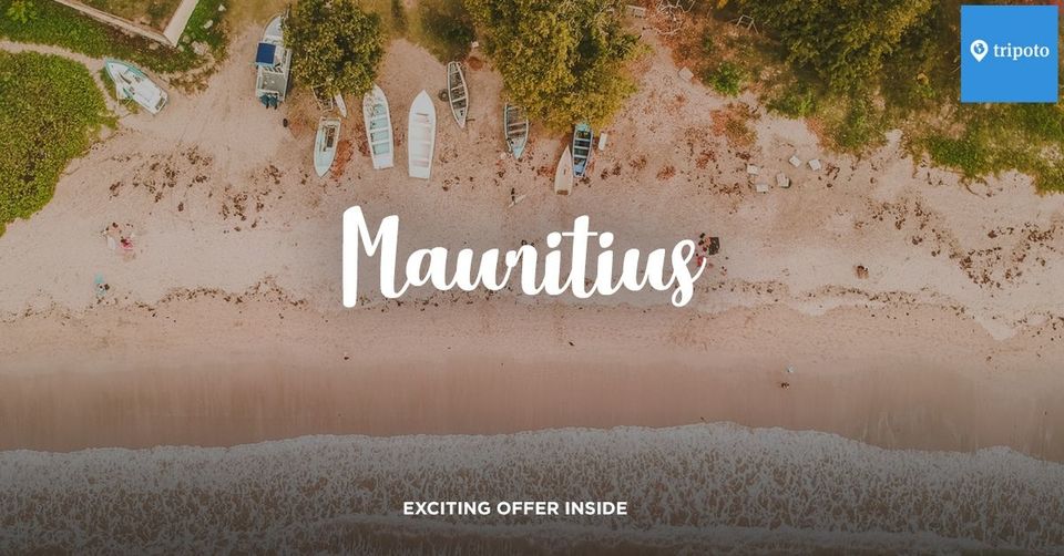 Photo of Plan Your First Couple Holiday With A Perfect Mauritius Honeymoon Package by Mukesh Jha