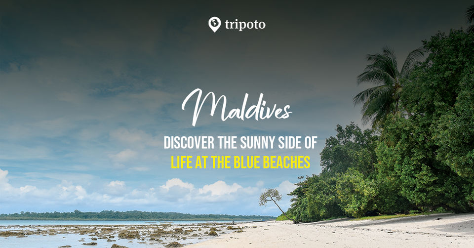 Photo of Maldives Tourism Packages From Delhi - Head To This Scenic Island Nation For A Relaxing Vacation by Mukesh Jha