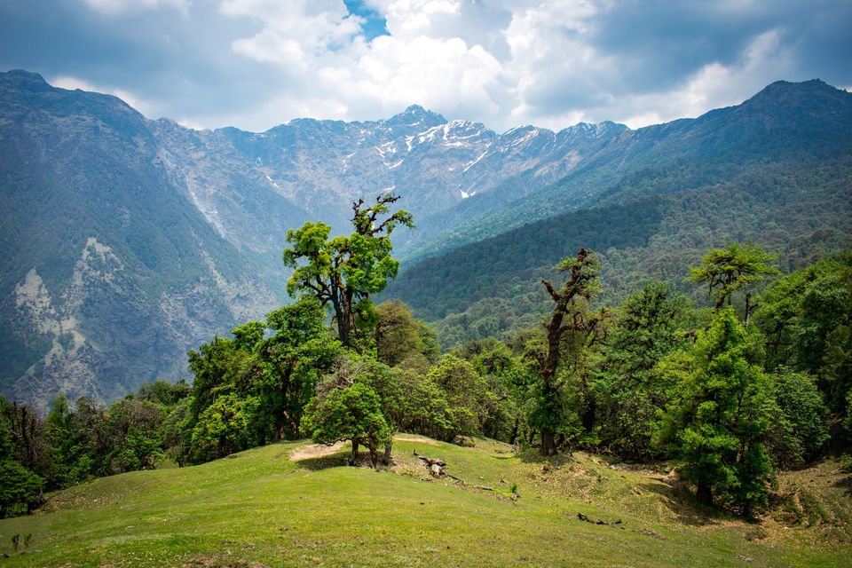 Photo of Chopta Chandrashila Trek: Paradise for Nature lovers by Siddharth Parashari