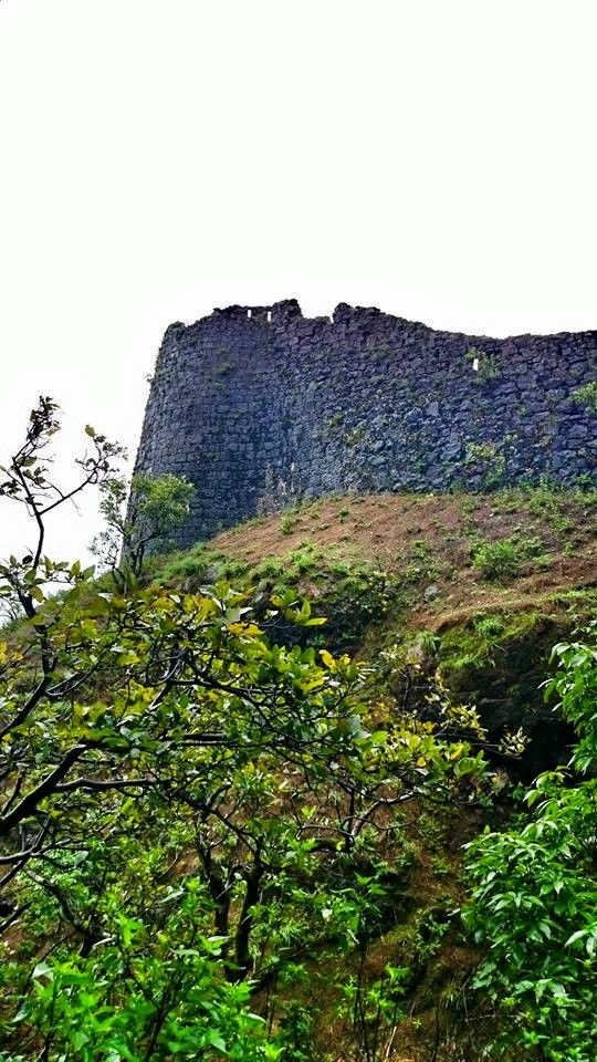 Photo of Korigad - Place of Backward Waterfall 3/15 by Manish
