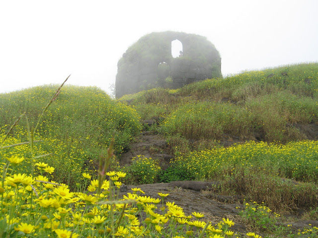 Photo of Ratan Gad : Jewel of Forts 10/20 by Manish