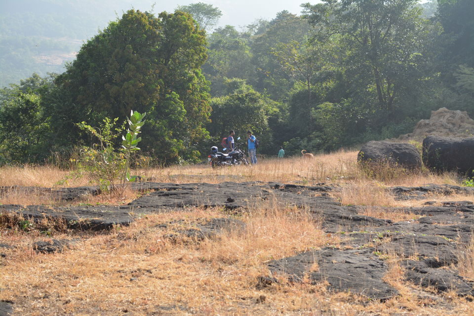 Photo of Trek to Devkund Waterfall 2/9 by Manish