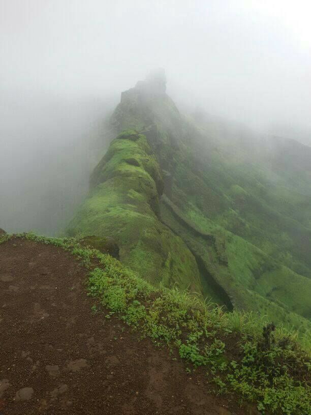 Photo of Raj Gad : King of forts 1/18 by Manish