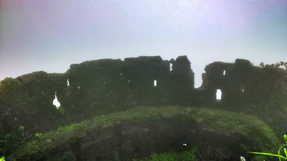 Photo of Raj Gad : King of forts 5/18 by Manish
