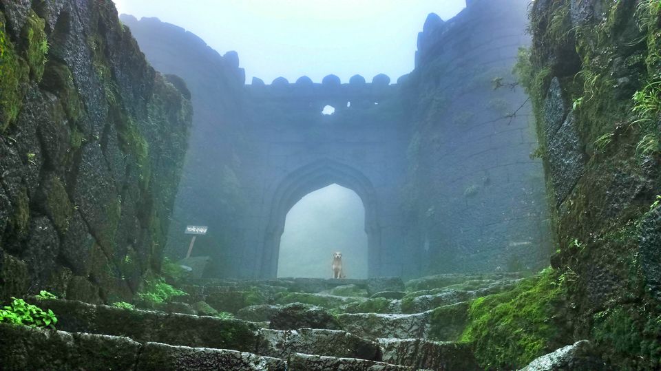 Photo of Raj Gad : King of forts 6/18 by Manish