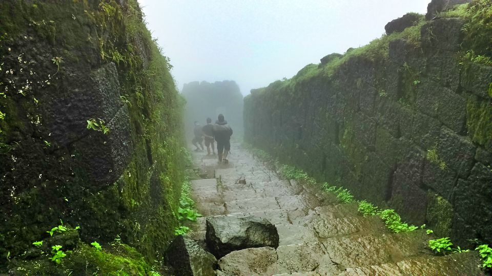 Photo of Raj Gad : King of forts 7/18 by Manish