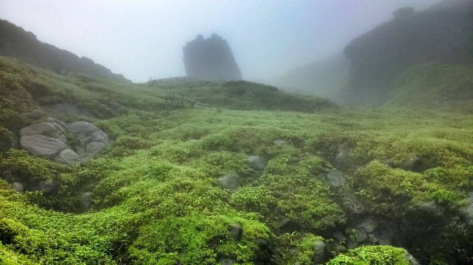 Photo of Raj Gad : King of forts 8/18 by Manish
