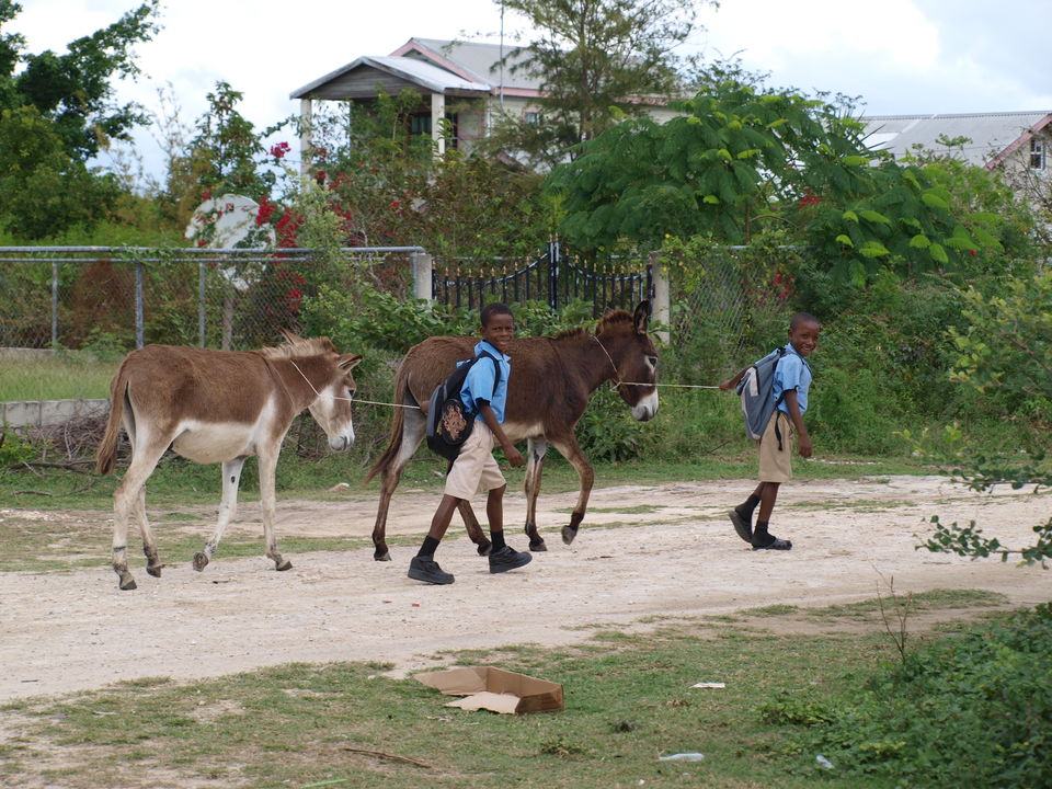 Photo of Barbuda Village Life by Claire Frank