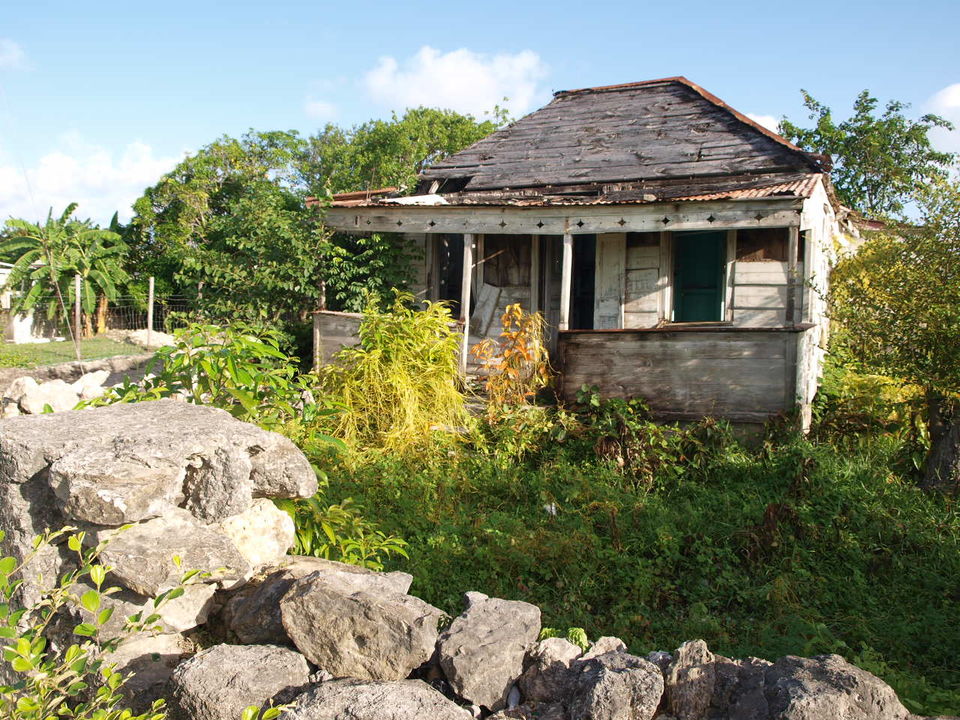 Photo of Barbuda - Its history and culture by Claire Frank