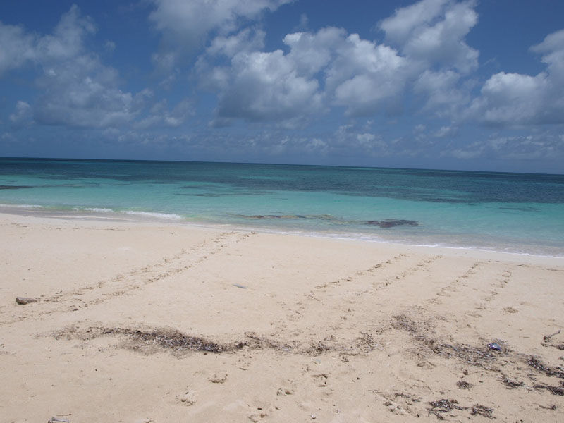 Photo of Two Foot Bay, Antigua and Barbuda by Claire Frank