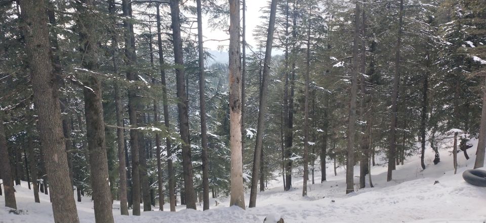 Photo of Amazing Trip to Shimla and Kufri by Abhishek Agarwal