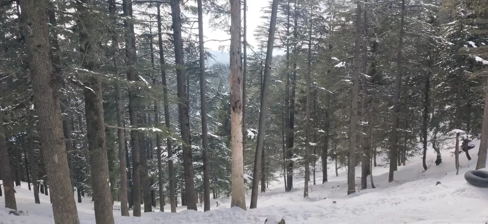 Photo of Amazing Trip to Shimla and Kufri by Abhishek Agarwal