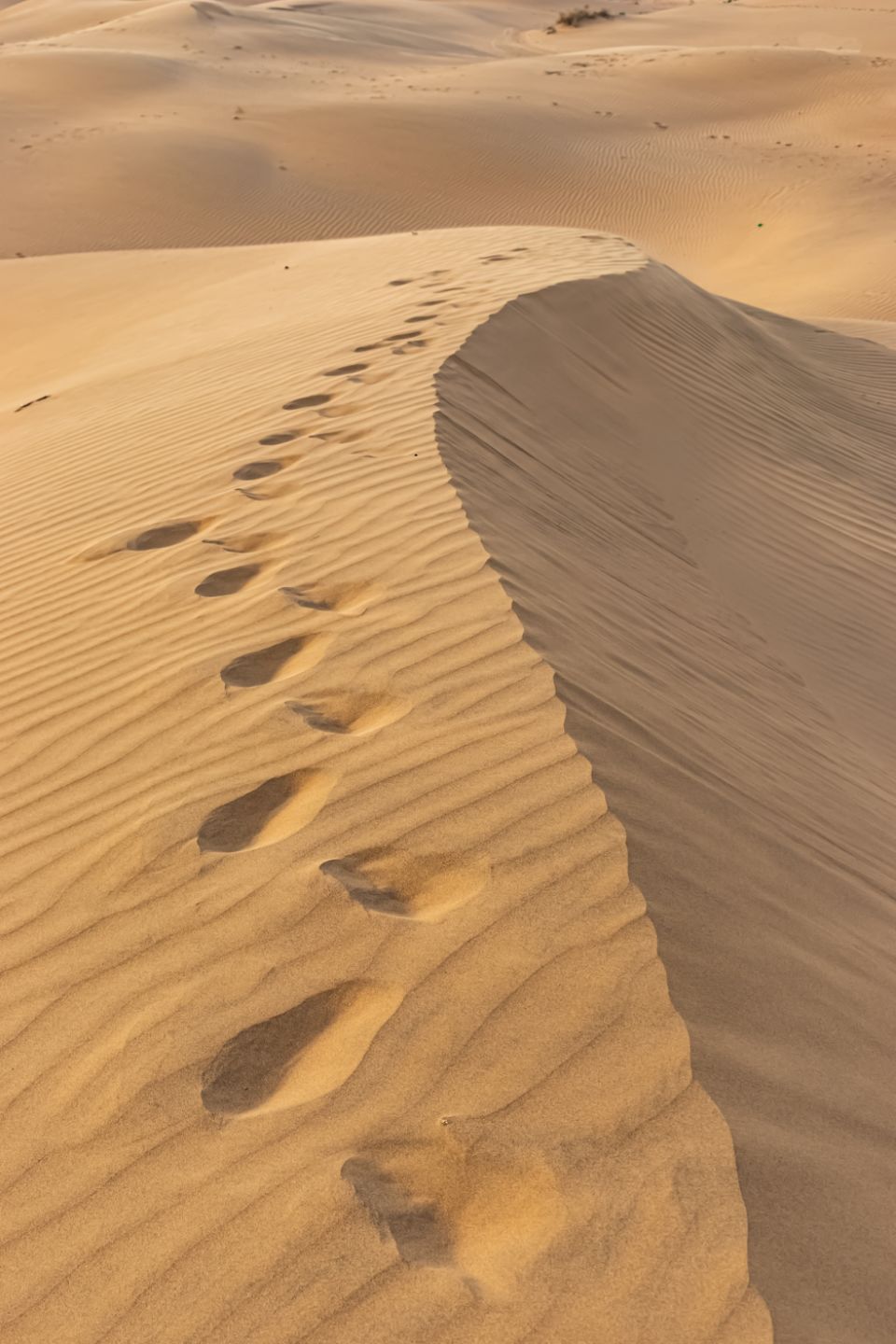 Photo of Sam Sand Dunes Jaisalmer, Sam, Rajasthan, India by Himanshu Aggarwal