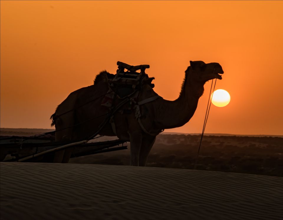 Photo of Khuri Sandunes, Dhoba, Rajasthan, India by Himanshu Aggarwal