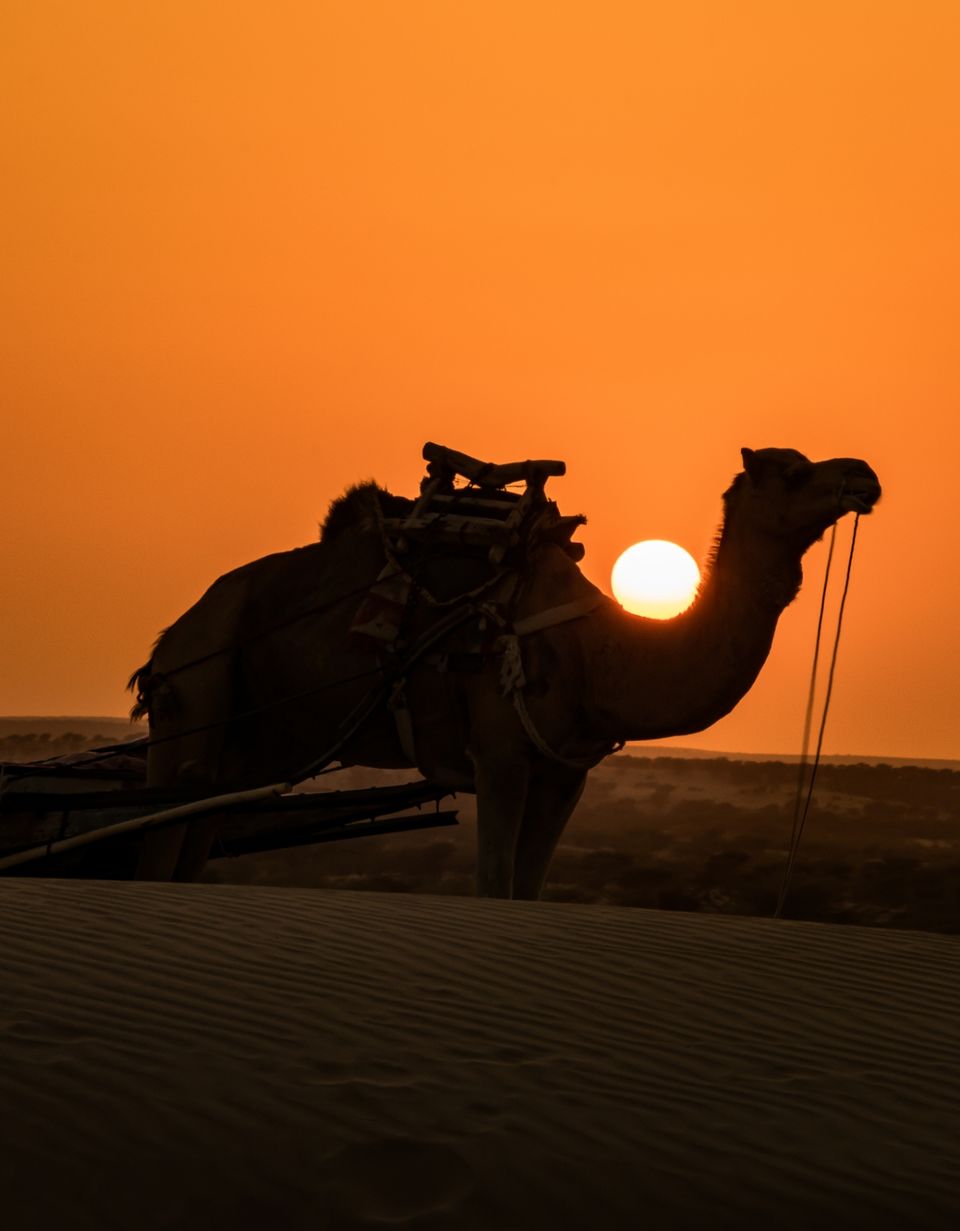 Photo of Khuri Sandunes, Dhoba, Rajasthan, India by Himanshu Aggarwal