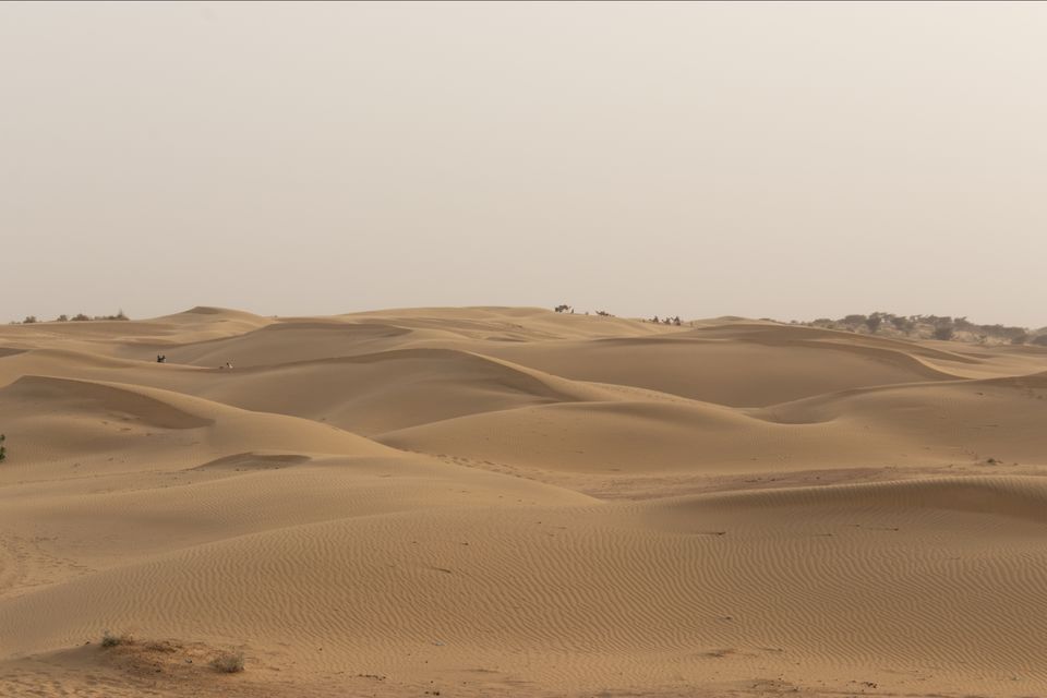 Photo of Sam Sand Dunes Jaisalmer, Sam, Rajasthan, India by Himanshu Aggarwal