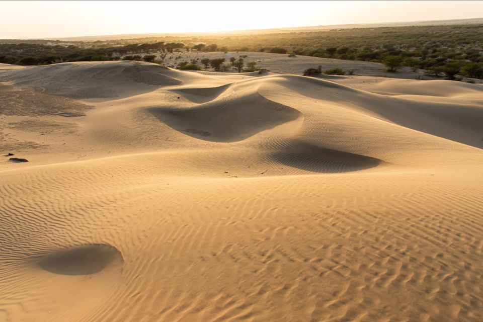 Photo of Khuri Sandunes, Dhoba, Rajasthan, India by Himanshu Aggarwal