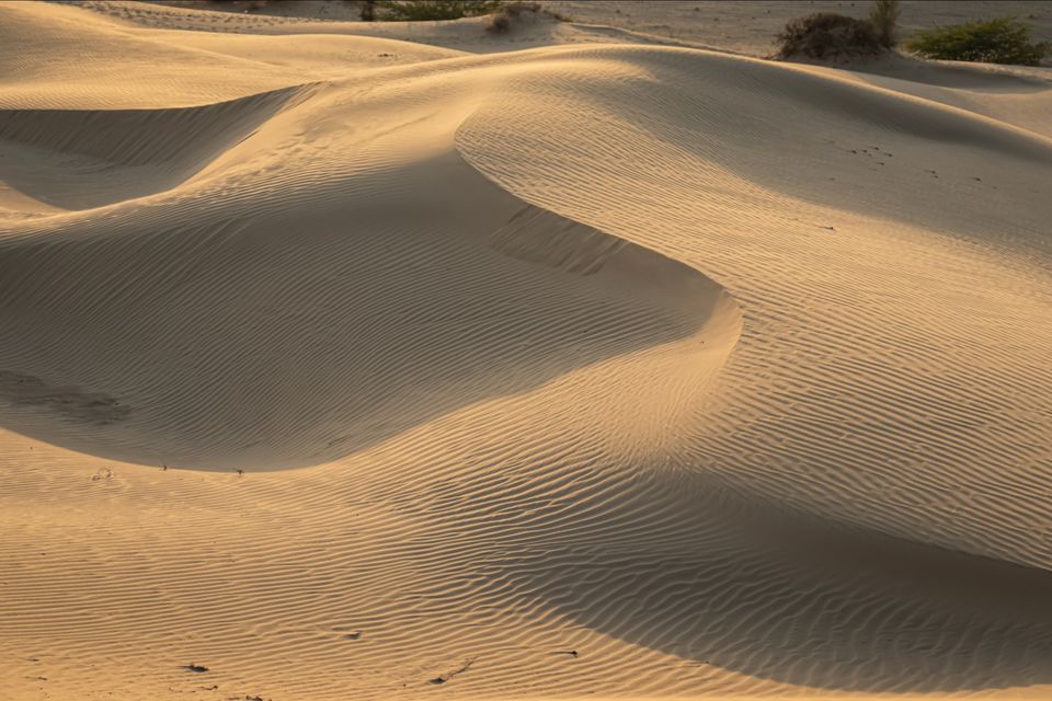 Photo of Khuri Sandunes, Dhoba, Rajasthan, India by Himanshu Aggarwal