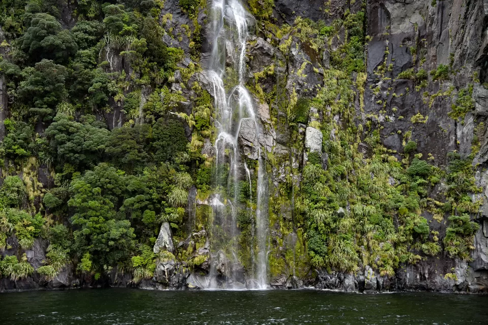 Photo of AMAZING NEW ZEALAND TRIP!!! by Subhadeep Debnath