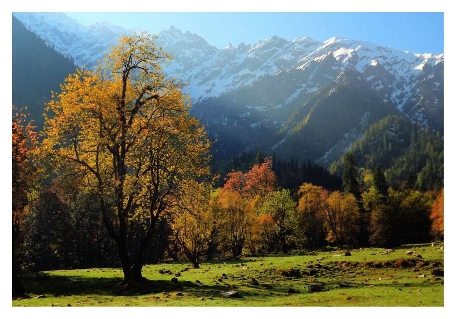 Photo of Story of a Himalayan dream called Sar Pass 11/32 by Vachana Shetty