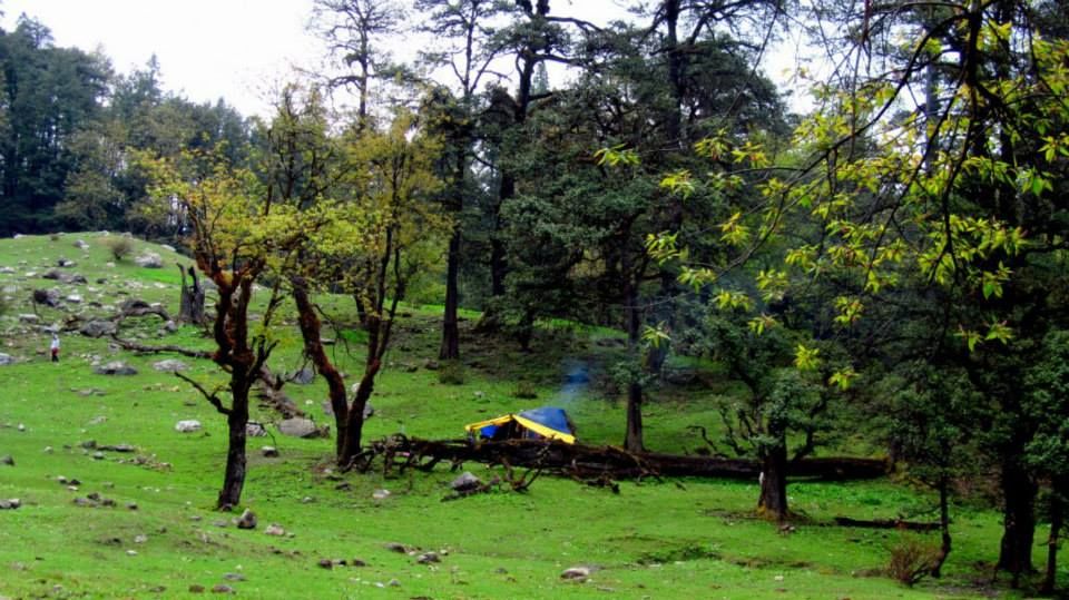 Photo of Story of a Himalayan dream called Sar Pass 12/32 by Vachana Shetty