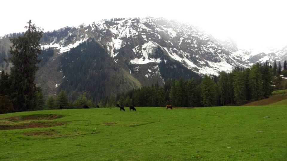 Photo of Story of a Himalayan dream called Sar Pass 29/32 by Vachana Shetty