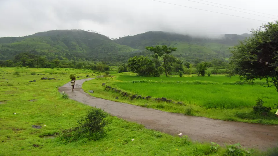 Photo of Torna Fort, Torna Foot Road, Charhat Wadi, Maharashtra, India by Vachana Shetty