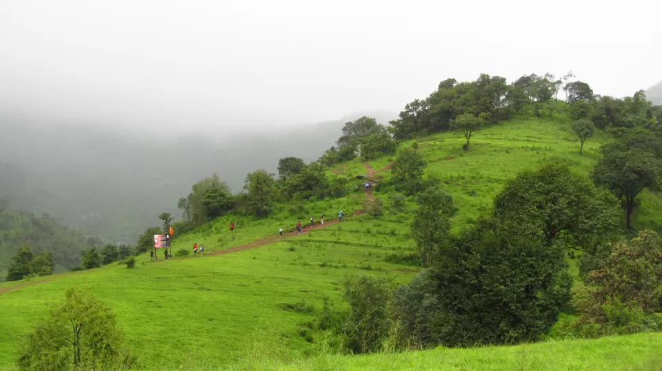 Photo of Torna Fort, Torna Foot Road, Charhat Wadi, Maharashtra, India by Vachana Shetty