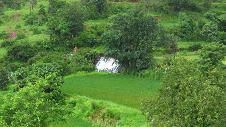 Photo of Torna Fort, Torna Foot Road, Charhat Wadi, Maharashtra, India by Vachana Shetty