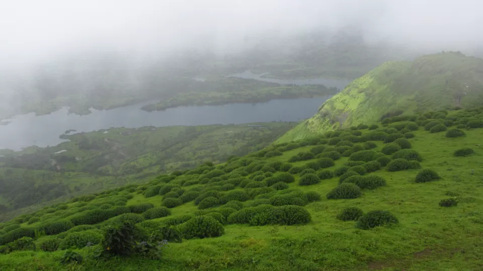 Photo of Torna Fort, Torna Foot Road, Charhat Wadi, Maharashtra, India by Vachana Shetty