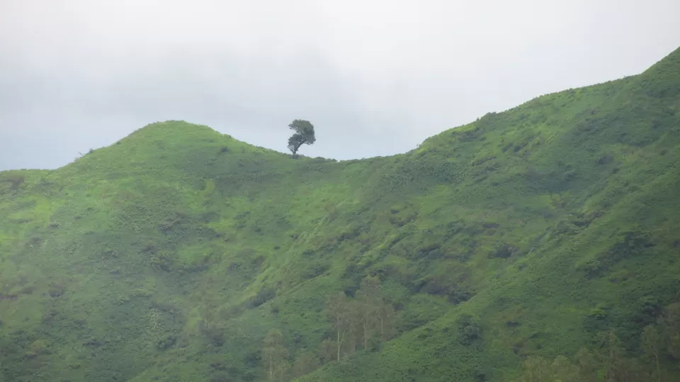 Photo of Torna Fort, Torna Foot Road, Charhat Wadi, Maharashtra, India by Vachana Shetty