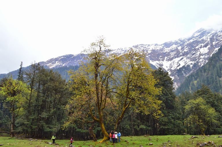 Photo of Story of a Himalayan dream called Sar Pass 10/32 by Vachana Shetty