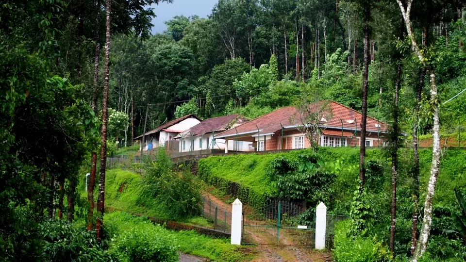 Photo of Coorg, Karnataka, India by Vachana Shetty
