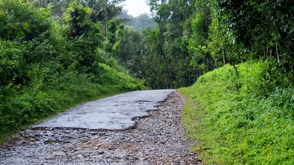 Photo of Coorg, Karnataka, India by Vachana Shetty