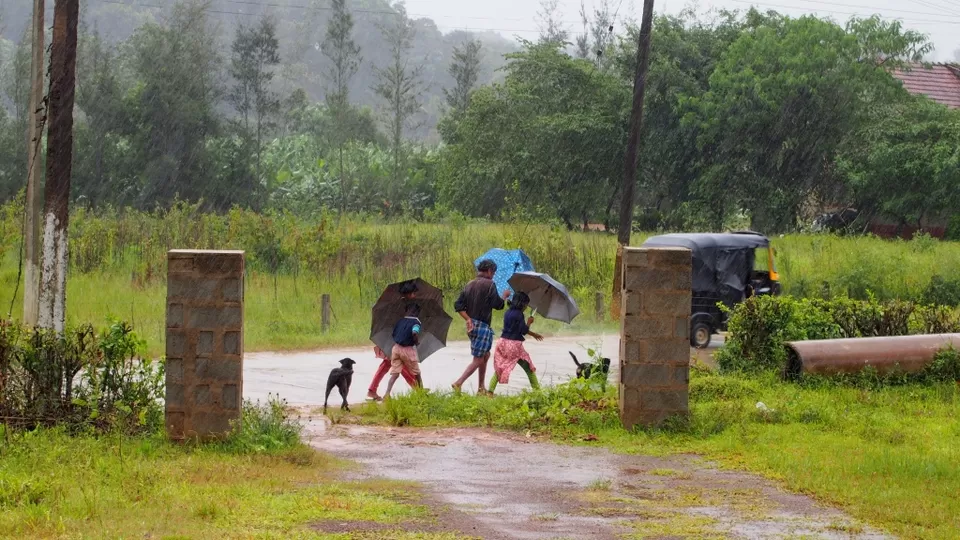 Photo of Coorg, Karnataka, India by Vachana Shetty