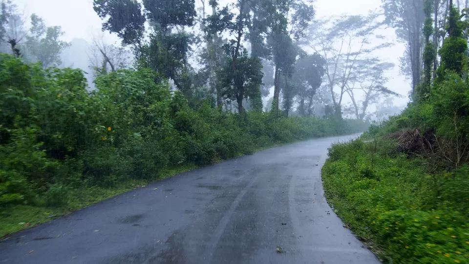 Photo of Coorg, Karnataka, India by Vachana Shetty