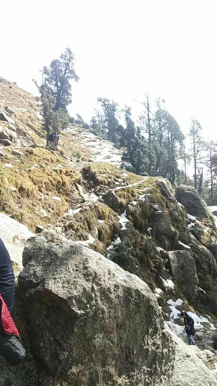 Photo of Triund Trek! by Soumya Kumari