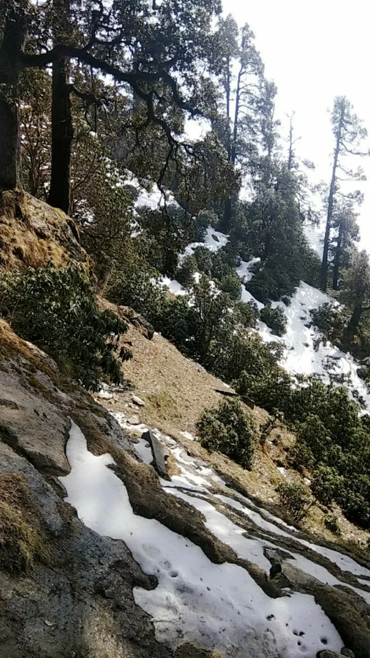 Photo of Triund Trek! by Soumya Kumari