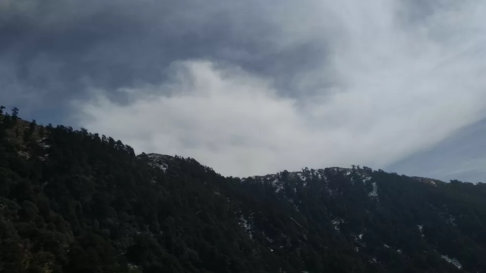 Photo of Triund Trek! by Soumya Kumari