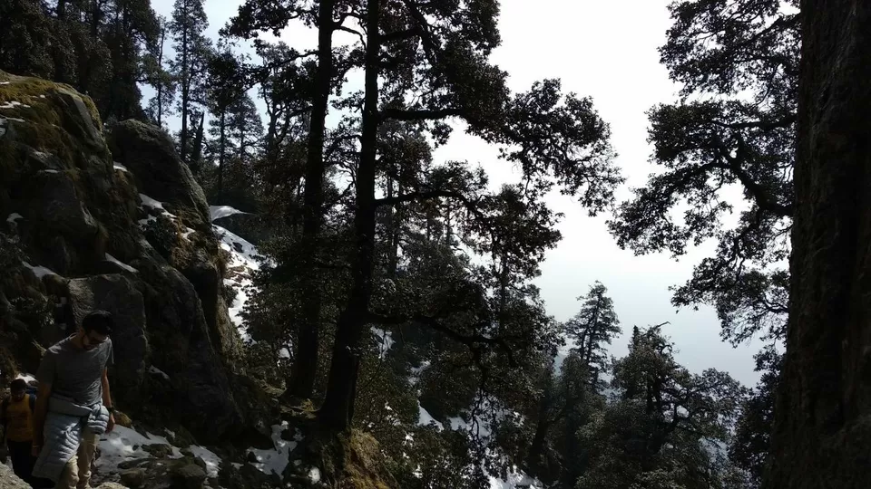 Photo of Triund Trek! by Soumya Kumari