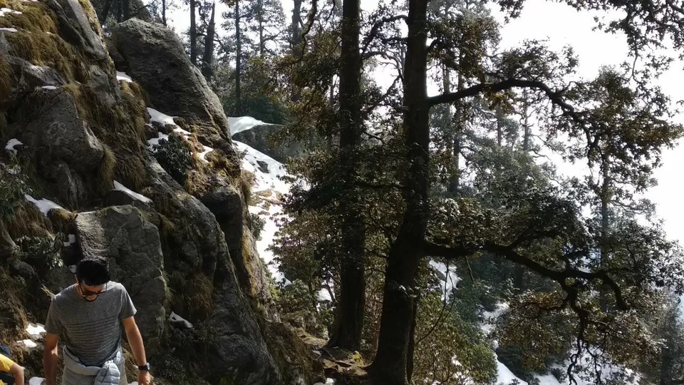 Photo of Triund Trek! by Soumya Kumari
