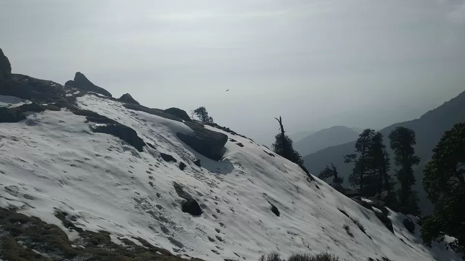 Photo of Triund Trek! by Soumya Kumari