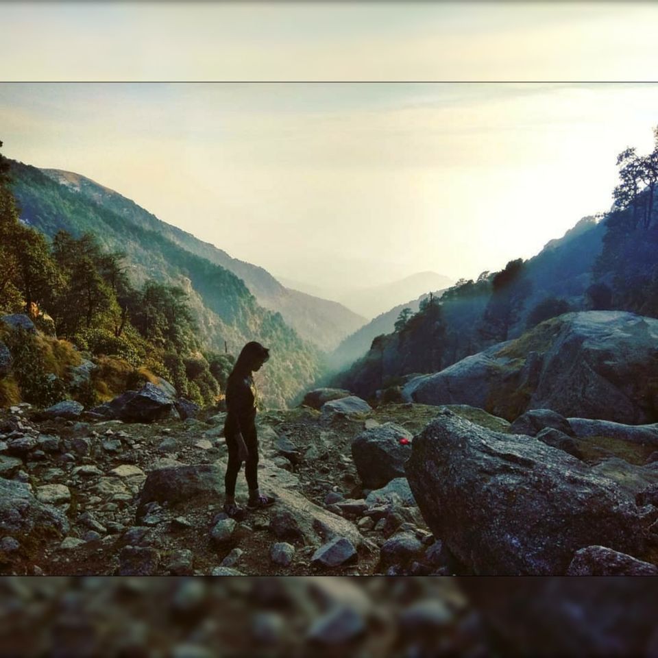 Photo of Triund Trek! by Soumya Kumari