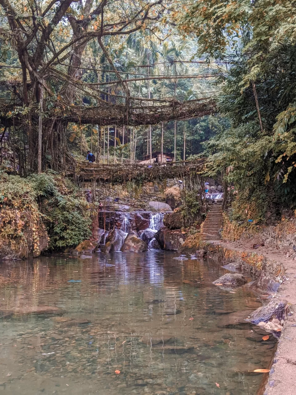 Photo of Cherrapunjee, Meghalaya, India by Dhiren Bhagtani
