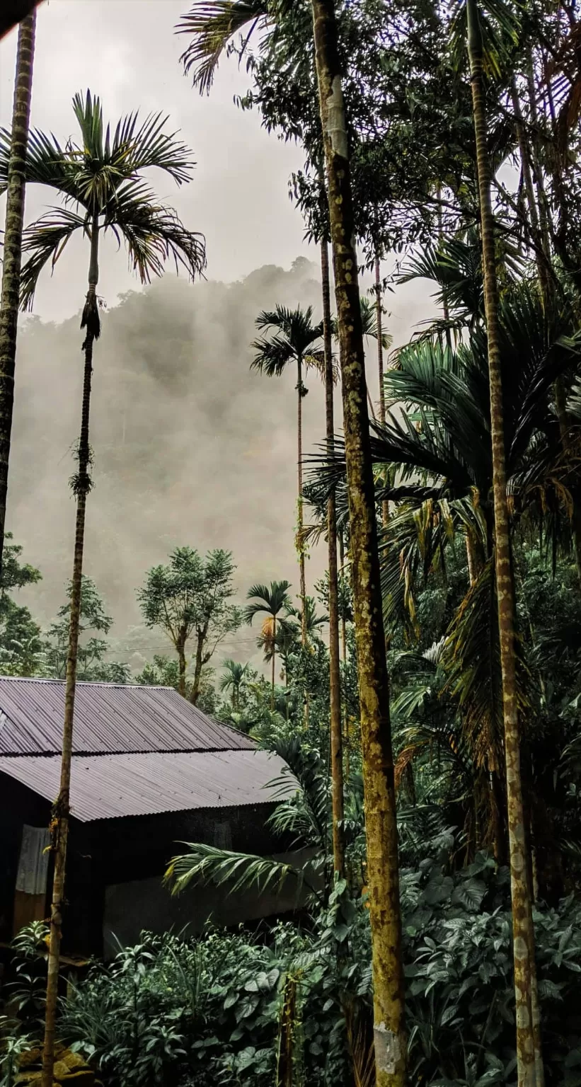 Photo of Cherrapunjee, Meghalaya, India by Dhiren Bhagtani