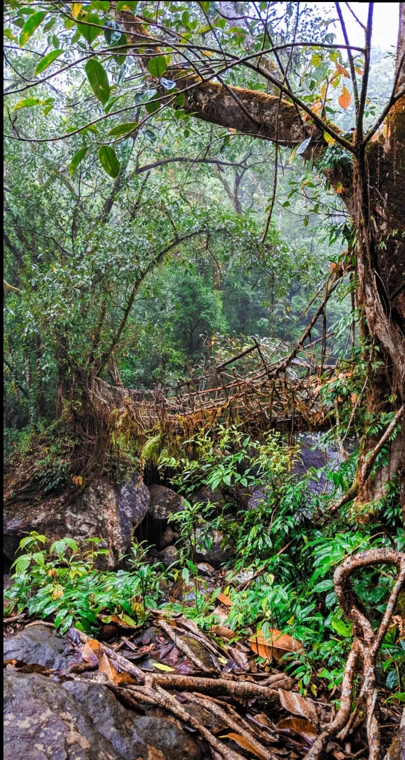 Photo of Cherrapunjee, Meghalaya, India by Dhiren Bhagtani