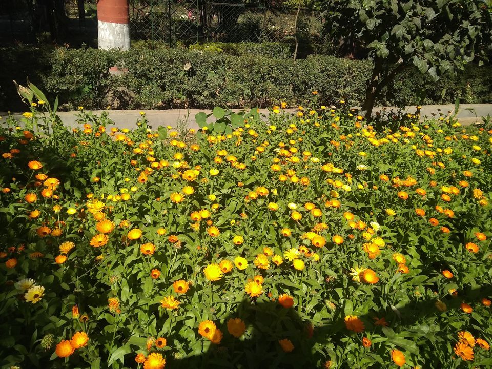 Photo of A day in Udaipur. 7/14 by Monalisa dungdung