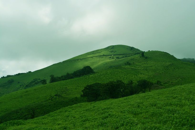 Photo of Into the Wilderness Inside Me ! ! 12/24 by Adityabasu